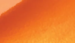3M Gloss Burnt Orange G14 swatch