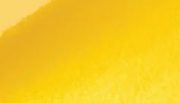 3M Gloss Sunflower G25 swatch