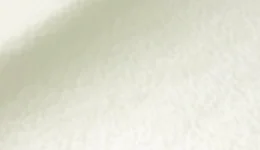 3M Satin Pearl White SP10 swatch