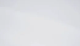 3M Gloss White G10 swatch