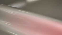 3M Colour Shift Flip Winter Rose GP231 swatch