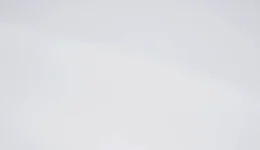 3M Matte White M10 swatch