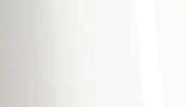 Avery Dennison Pearl White Snow SW900-110-S swatch