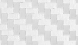 Avery Dennison Carbon Fiber White SW900-115-X swatch