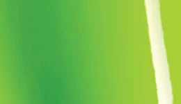 Avery Dennison Gloss Tropical Vacation Green SW900-701-O swatch