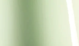 Avery Dennison Gloss Light Pistachio SW900-728-O swatch