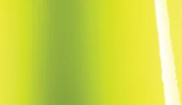 Avery Dennison Gloss Lime Green SW900-731-O swatch
