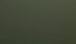 Avery Dennison Matte Olive Green SW900-732-O swatch