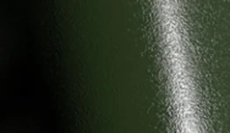 Avery Dennison Carbon / Textured Rugged Marsh Green SW900-738-X swatch