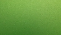 Avery Dennison Metallic Apple Green SW900-745-M swatch