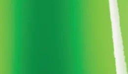 Avery Dennison Gloss Grass Green SW900-758-O swatch