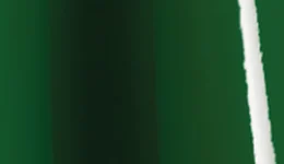 Avery Dennison Gloss Dark Green SW900-792-O swatch