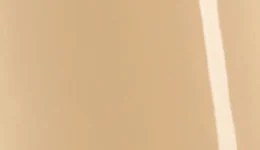 Avery Dennison Gloss Sand Dune SW900-901-O swatch
